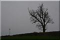 Stroud District : Grassy Field