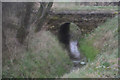 Stroud District : Small Stream