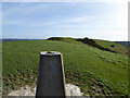 ST8344 : Looking south at the top of Cley Hill by Robin Webster