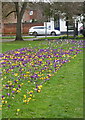 Faversham Recreation Ground