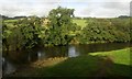 SS6221 : River Taw at Weirmarsh Bridge by Derek Harper