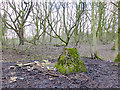 Mineshaft Cap at Swire Pit, Wakefields, Standish