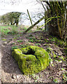 Drinking Trough or Base of Saxon Cross? On Standish Wood Lane