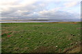 ST5383 : View towards the Severn from New Pill Gout by Roger Templeman