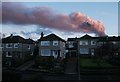 Late afternoon, Rowan Drive, Bearsden