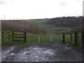 Path to Coldharbour Wood and Grimpstonleigh