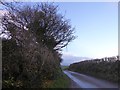 Hedgebanks and a minor road near Wotton