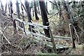 Dilapidated Footbridge