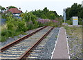 Site of the former Killingholme railway station