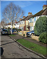 Langham Road: silver birch and semi-detached