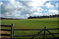 Fields and Woods Near Kilmarnock