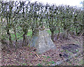 Mine Shaft Cap South West of Gidlow Cemetery