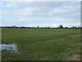 Footpath over field