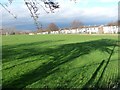 Tree shadow on a school sports field, Fellgate