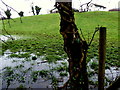 Waterlogged ground, Mullaghmore