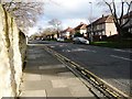 Sunderland Road Villas, Heworth, looking south-east