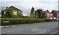 Flying the flag on Laburnum Avenue