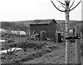 At Mickley Lane Allotments, New Totley