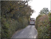 SX8042 : Narrow Devon Lane by N Chadwick