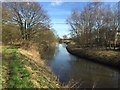 The River Idle at Tiln