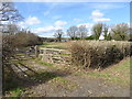 Field by the A272