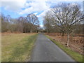 Drive on Romany Ridge Common looking eastwards