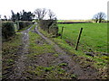 Muddy lane, Mullanmore