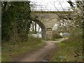 Riverside walk