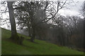 North Devon : Grassy Field