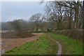 Witheridge : Grassy Field