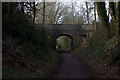 Ambrose Lane bridge, Nickey Line