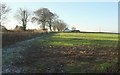 Farmland by the A3124