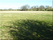 SP2044 : Field beside Mickleton Road by Philip Halling
