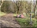 Public bridleway above the River Blyth