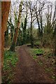 Footpath near the River Leam, Royal Leamington Spa