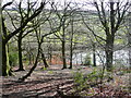 A walk to Meltham Mills Reservoir 9 - view across the reservoir