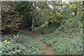 Ditch, Wandlebury Ring