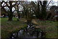 Stream on the edge of West Common