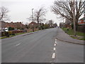 Forest Lane - viewed from Fairways Drive