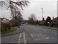 Forest Lane - viewed from Fairways Drive