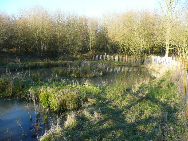 Tag Cut Ponds, Cromwell Bottom Nature... © Humphrey Bolton cc-by-sa/2.0 ...