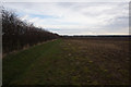 Path leading to Croxton Road, Kirmington