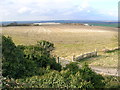 Chalk quarry at Ivinghoe Aston