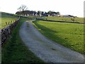 The lane to Walk Farm