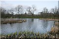 Boating pond, Springburn Park