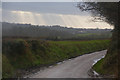 North Devon : Country Lane