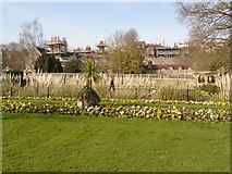 TQ4109 : Flowerbeds in Southover Grange by Paul Gillett