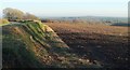 Arable field south of Church Farm