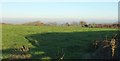 Field on Easton Moor