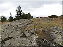 J3630 : Exposed Silurian rocks on the summit of Drinnahilly by Eric Jones